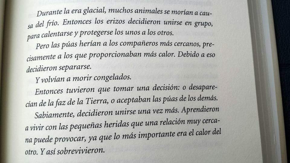 TODO GRAN AMOR ESCONDE PÚAS, QUE LA PASIÓN Y FASCINACIÓN COMPENSAN